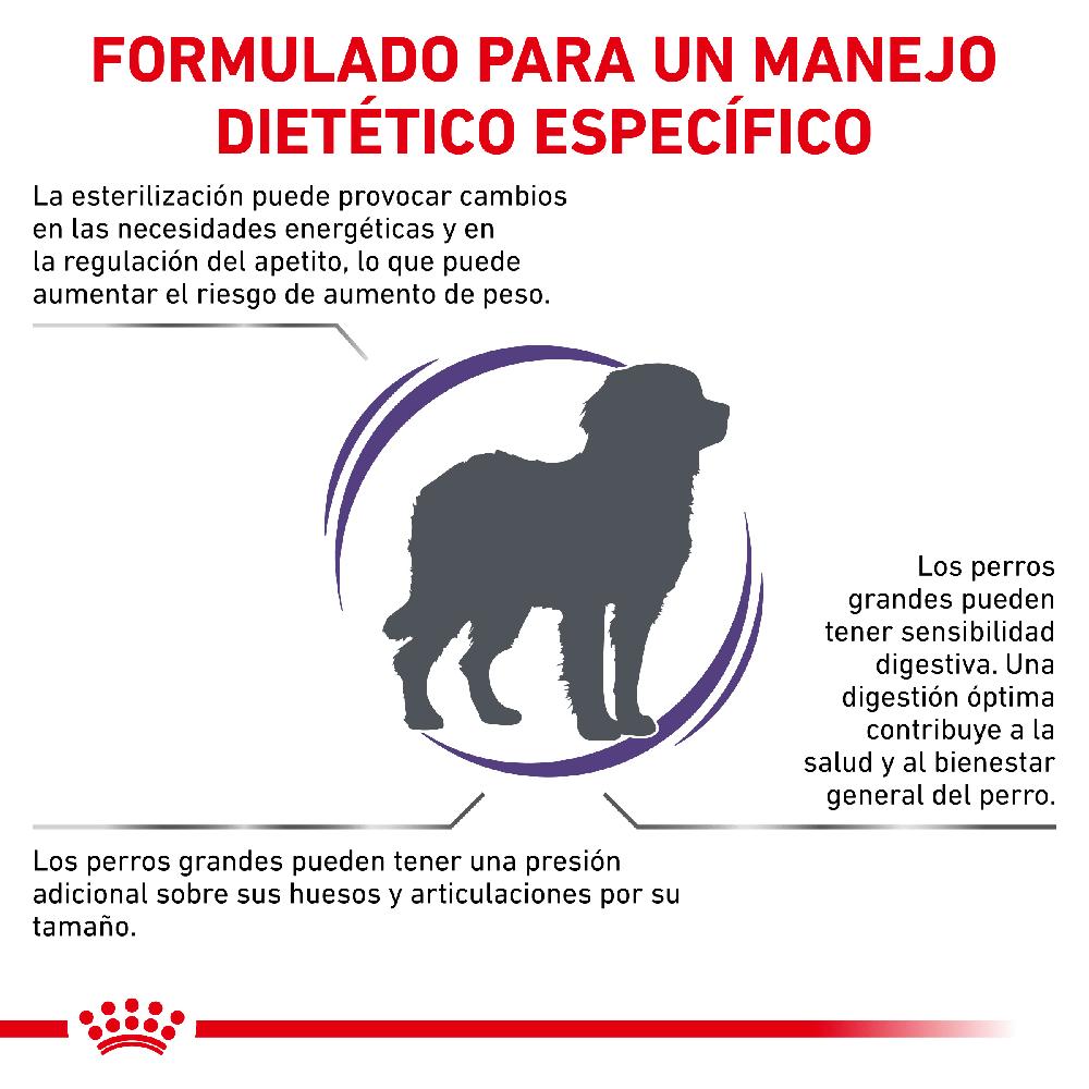 Miscota Royal Canin Cibo Secco per Cani Neutered Adult Large Dog Online