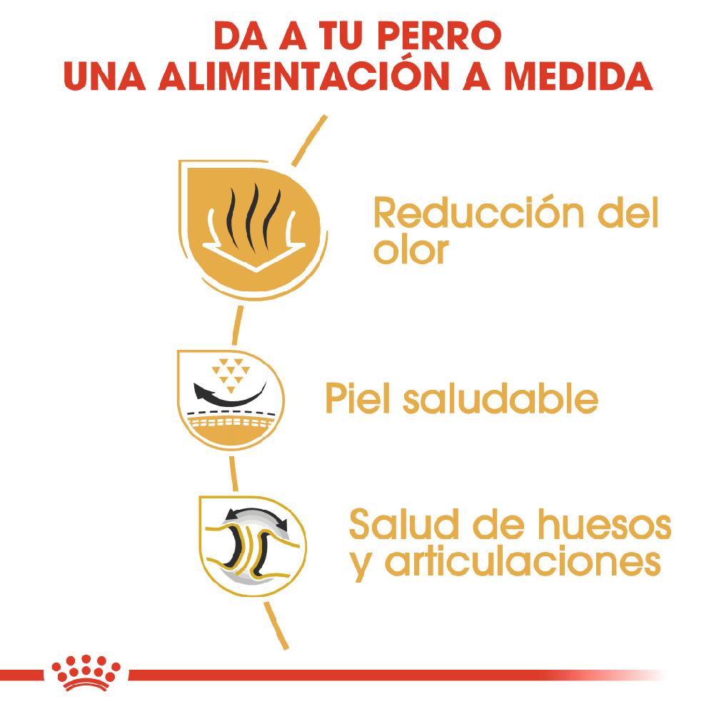 Miscota Royal Canin Bulldog Adult In Vendita