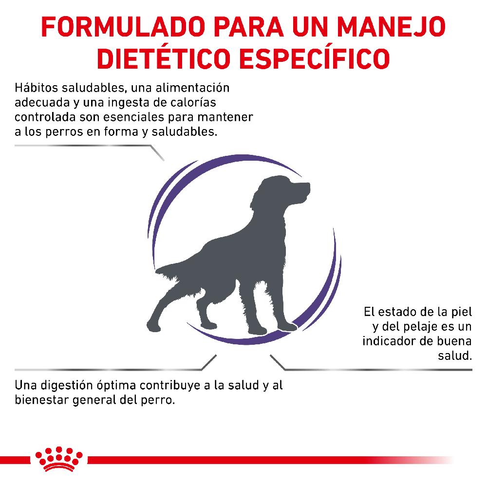 Miscota Royal Canin Cibo Secco per Cani Adult Vet Care Skin & Digestive Canine Saldi