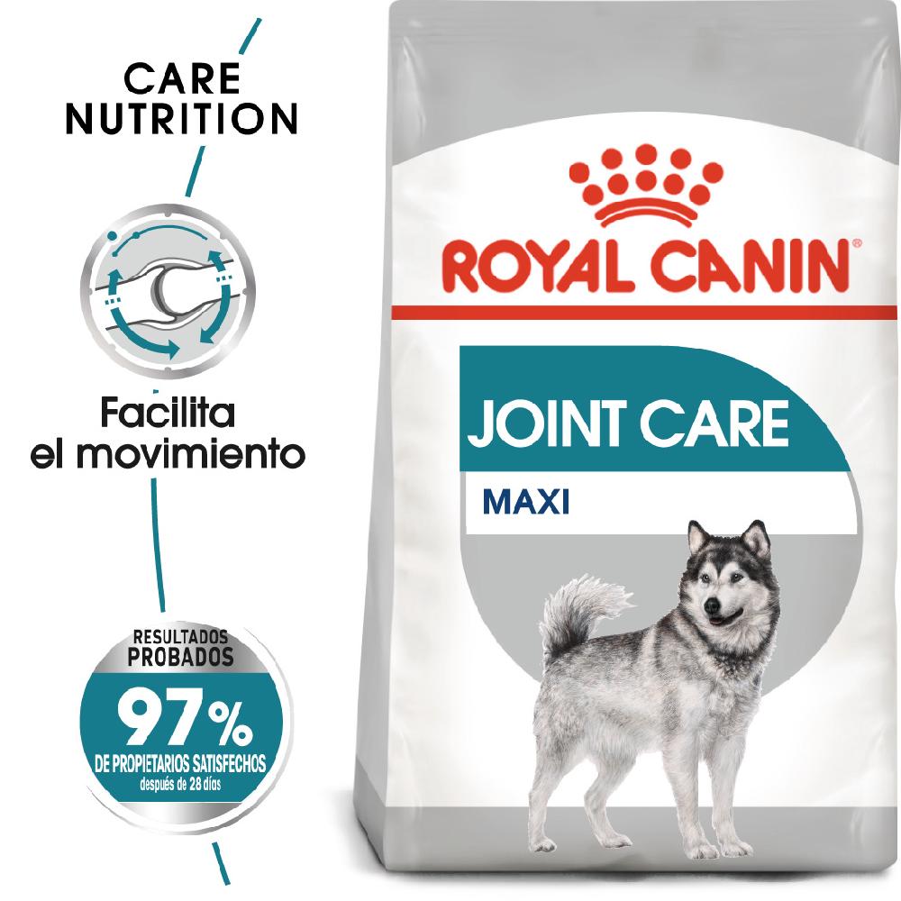 Miscota Royal Canin Maxi Joint Care Large Adult Food con sensibilità alle articolazioni