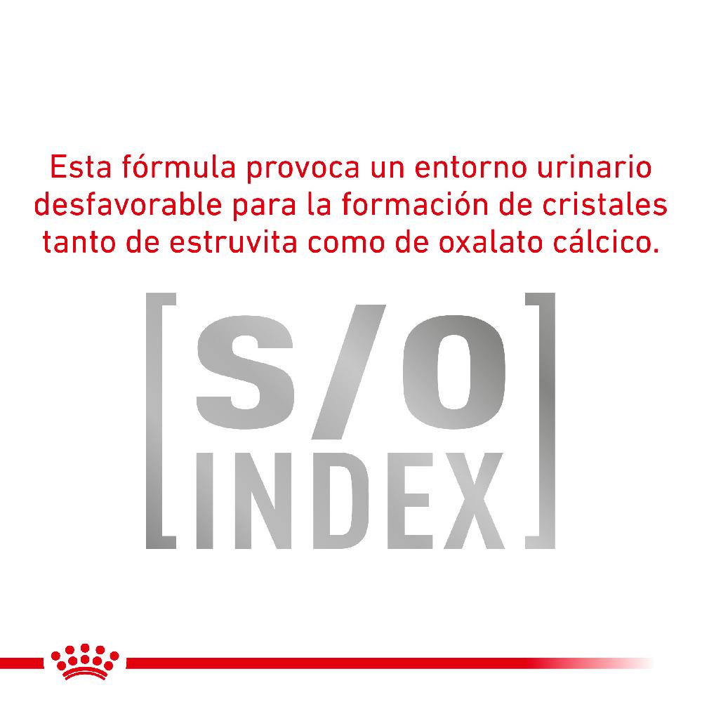 Miscota Pacco 12 Royal Canin Cibo Umido per Cani Diabetic Special Low Carbohydrat Saldi Di Fabbrica