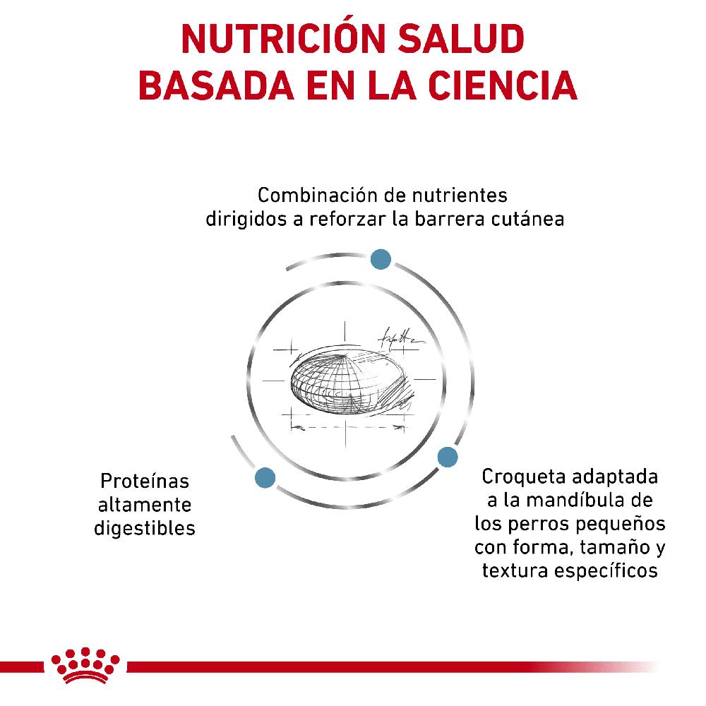 Miscota Royal Canin Cibo Secco per Cani Skin Care Adult Small Dog Negozio