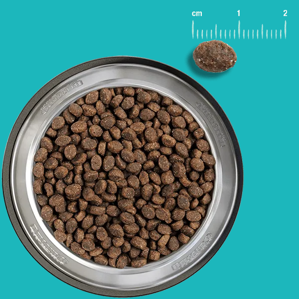Miscota Belcando Puppy Gravy Offerta esclusiva