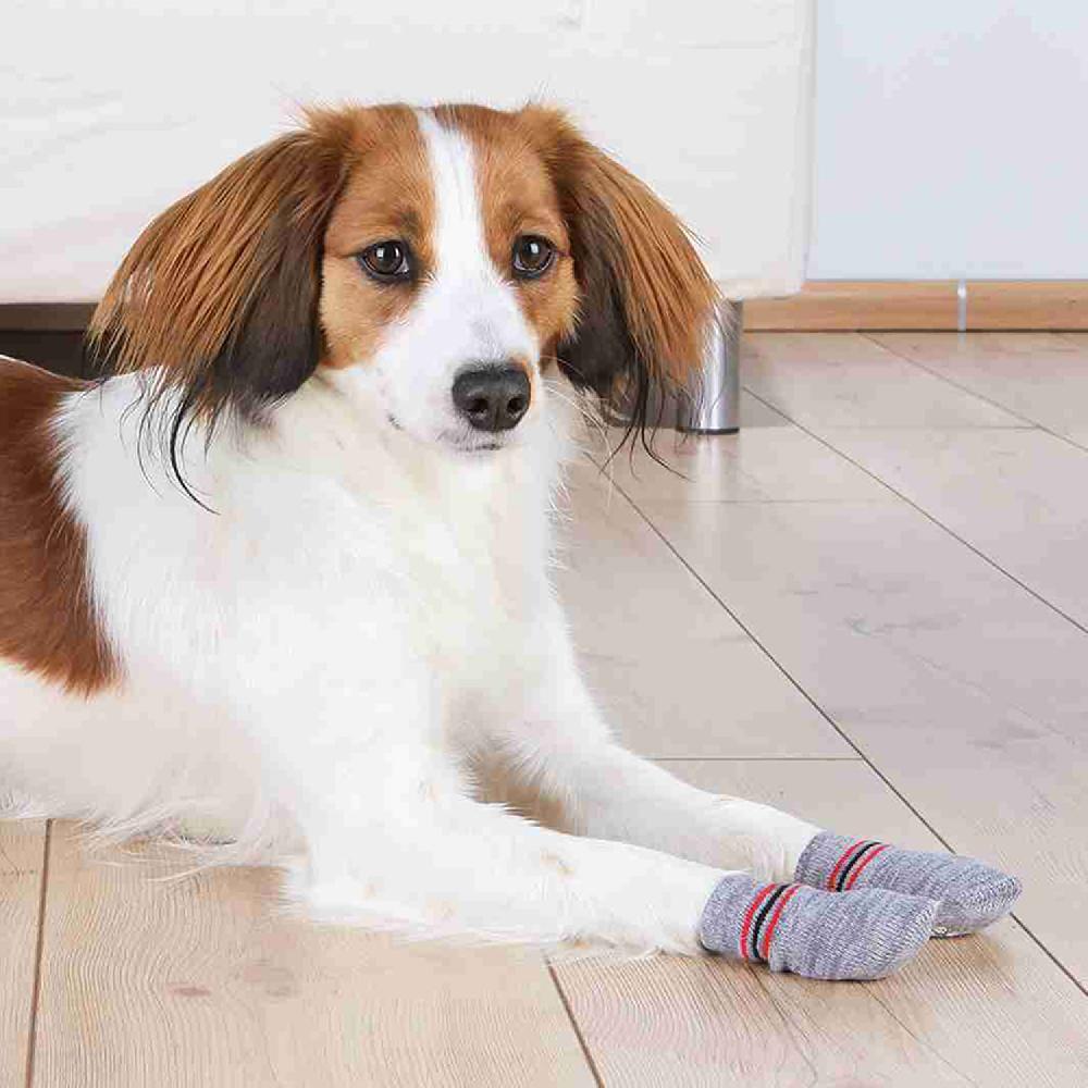 Miscota Trixie Calze grigie antiscivolo per cani Offerta Anniversario