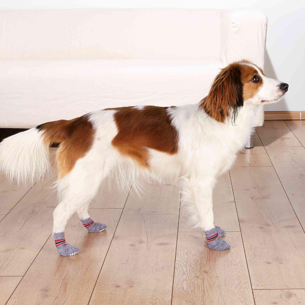 Miscota Trixie Calze grigie antiscivolo per cani Offerta Anniversario