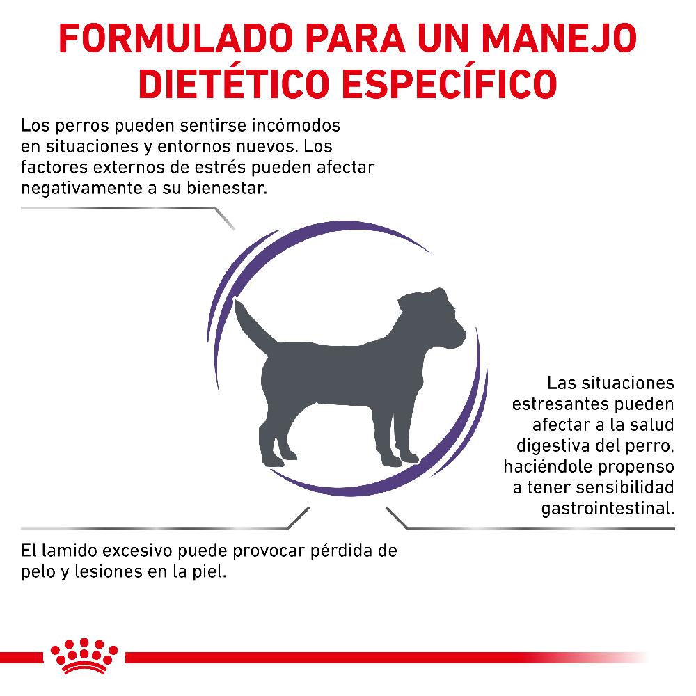 Miscota Royal Canin Cibo Secco per Cani Calm Canine Offerta temporanea