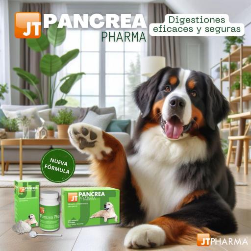 Miscota JTPharma Cani E Gatti Dietary Allowance Pancreatici Pharma 60 Compresse Ultimo giorno