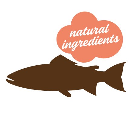 Miscota Stuzzy Dog Salmon Terrine Discount Store per i nuovi prodotti