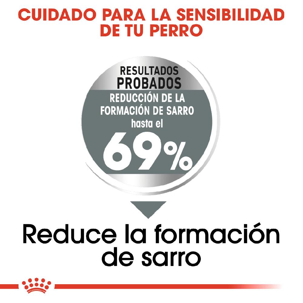 Miscota Royal Canin Mini Dental Care Solo un giorno rimasto