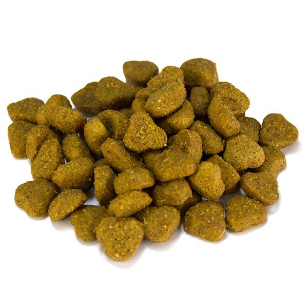 Miscota Arquivet Cibo Secco Adult Agnello e Riso Sottocosto