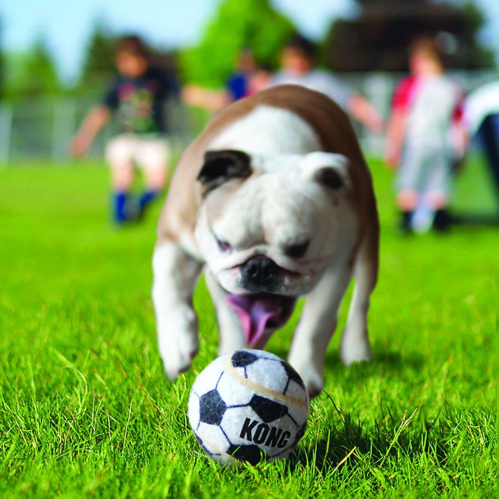 Miscota KONG Sport Balls 3 Confezione Xs Offerta