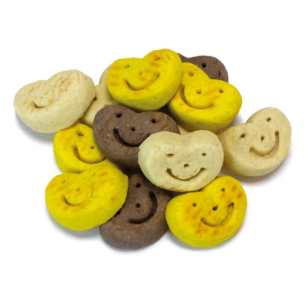 Miscota Arquivet Galletas Smiles para Perros Saldi