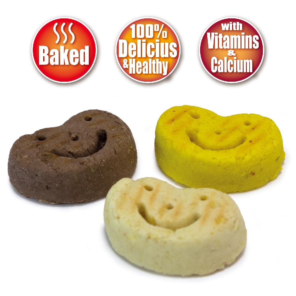 Miscota Arquivet Galletas Smiles para Perros Saldi