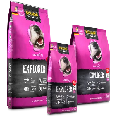Miscota Belcando Pienso Baseline Explorer de Pescado para Perros Pequeños y Medianos Vendite Flash