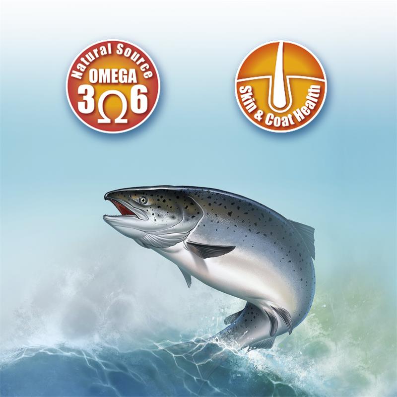 Miscota Arquivet Olio di salmone scozzese per cani e gatti In Saldo
