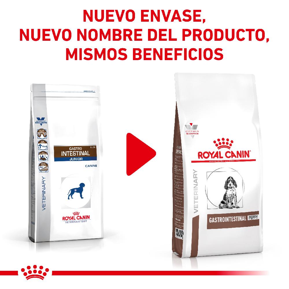 Miscota Royal Canin Cibo Secco per Cani Gastro Intestinalcanine Junior Spedizione gratuita