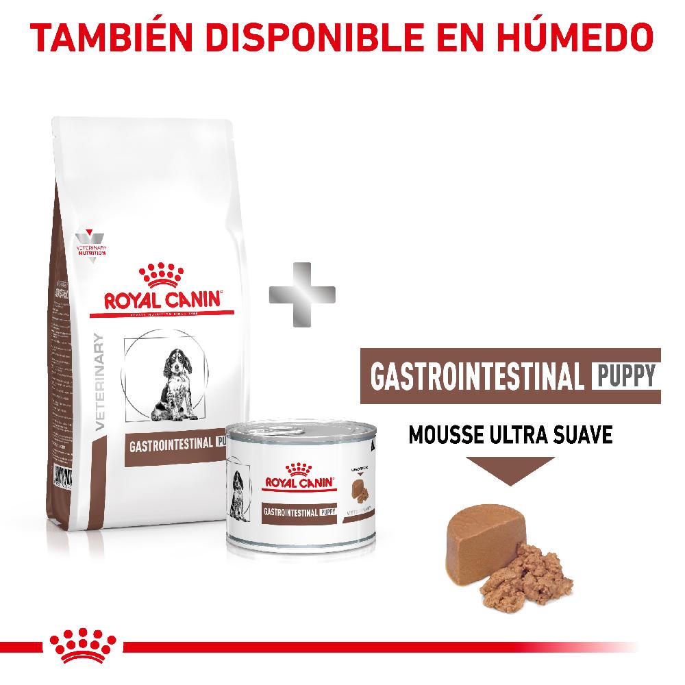 Miscota Royal Canin Cibo Secco per Cani Gastro Intestinalcanine Junior Spedizione gratuita