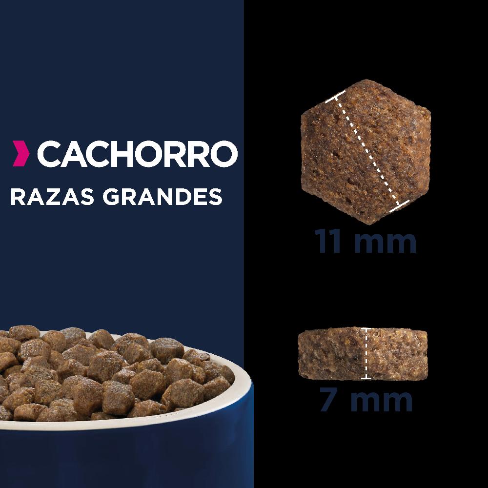 Miscota Eukanuba Cucciolo di razza grande Prezzo di fabbrica