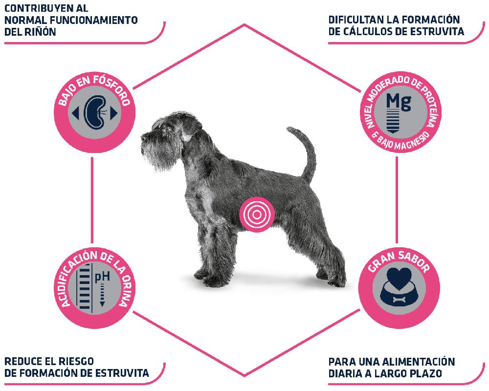 Miscota Advance Cibo Secco Veterinare Diet Urinare per Cani Offerta speciale