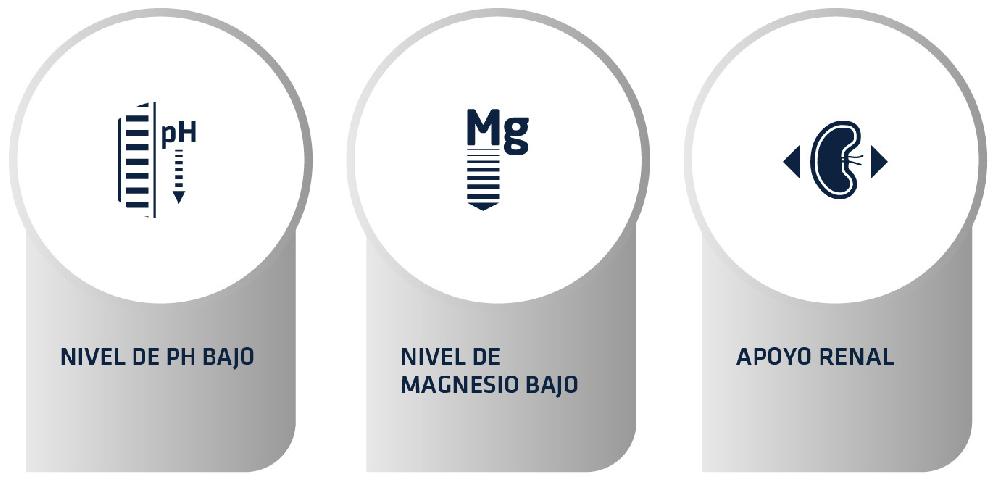 Miscota Advance Cibo Secco Veterinare Diet Urinare per Cani Offerta speciale