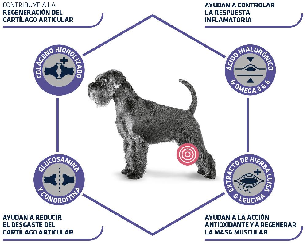 Miscota Advance Cibo Secco Articular Care +7 Anni Comprare a buon mercato