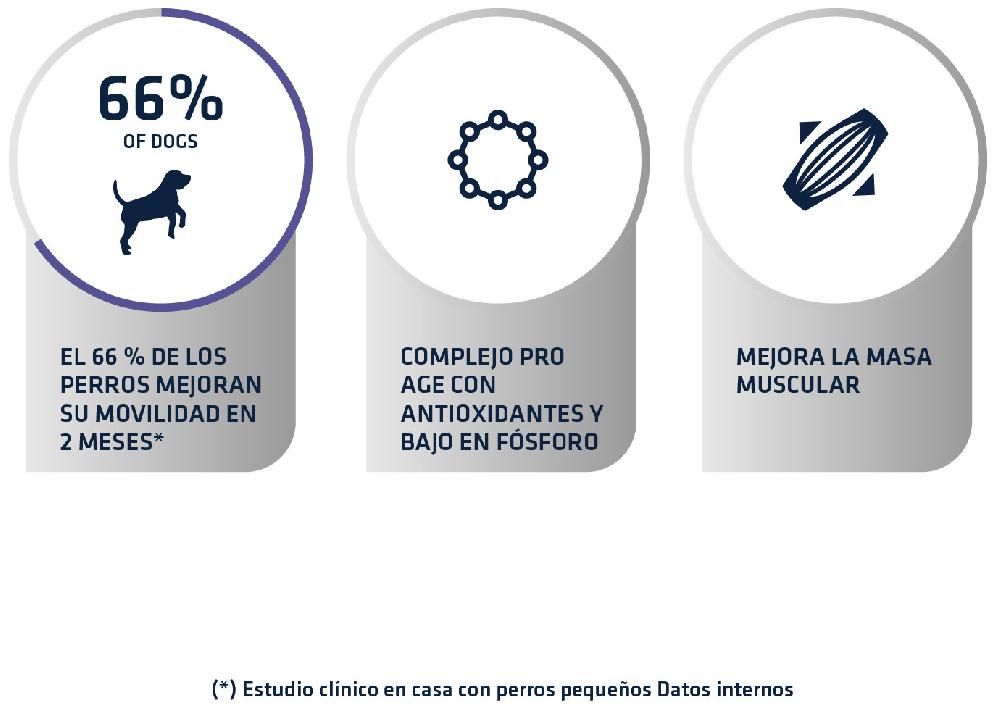 Miscota Advance Cibo Secco Articular Care +7 Anni Comprare a buon mercato
