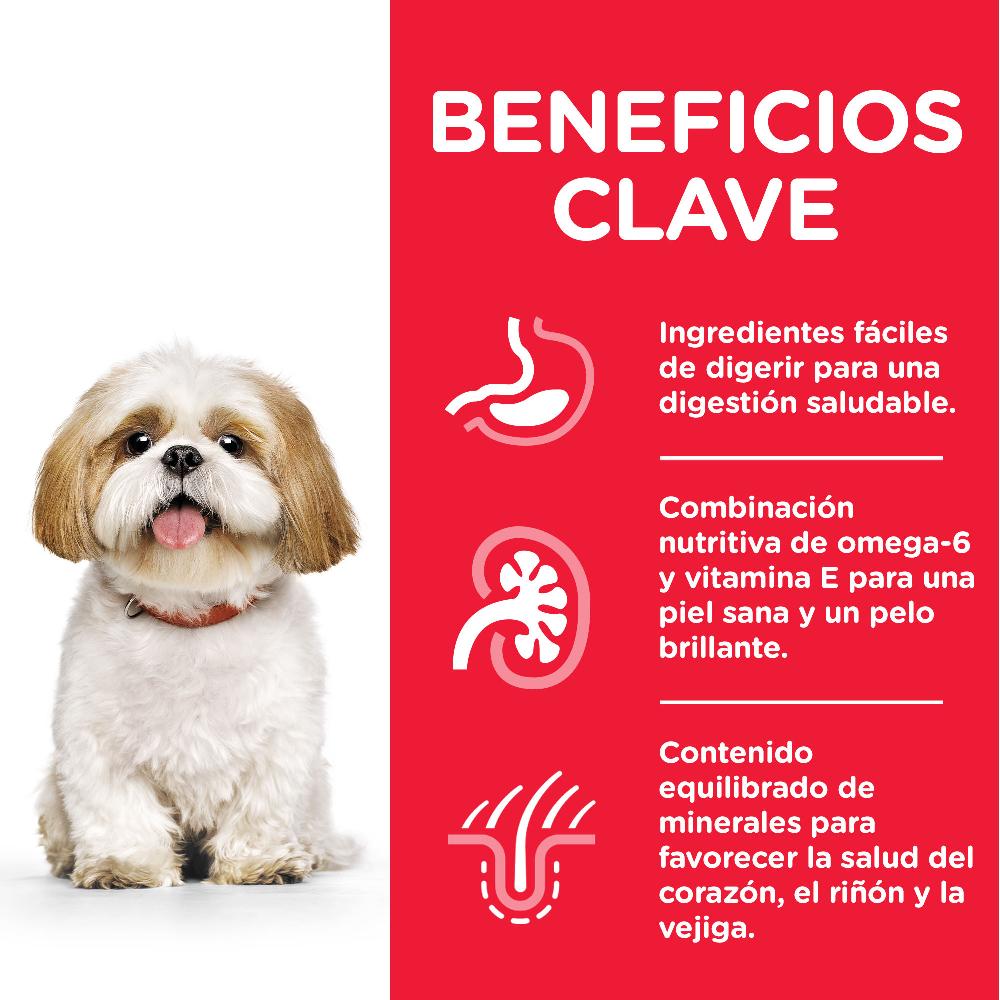 Miscota Hill's Science Plan Senior +7 Small & Mini con Pollo Offerte esclusive