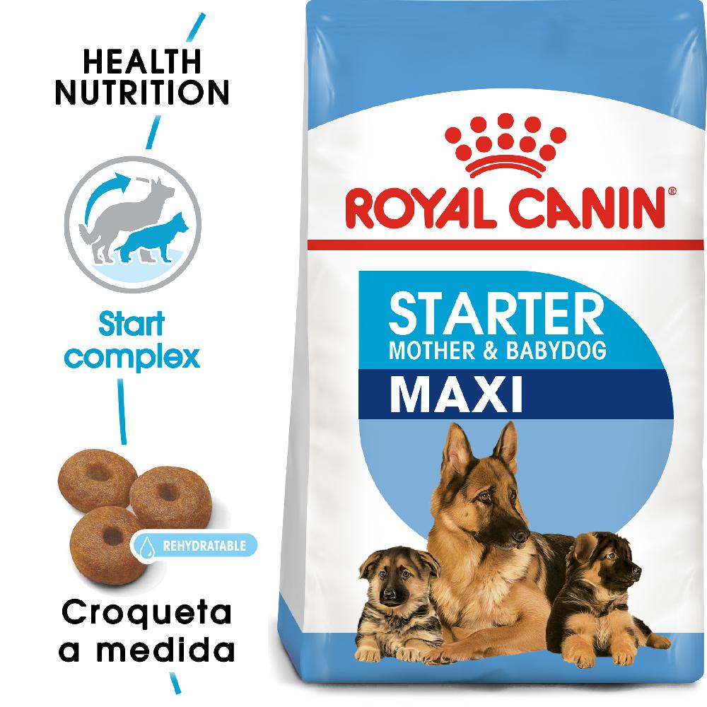 Miscota Royal Canin Cibo Secco per Cani Starter Maxi Mother & Babe Dog