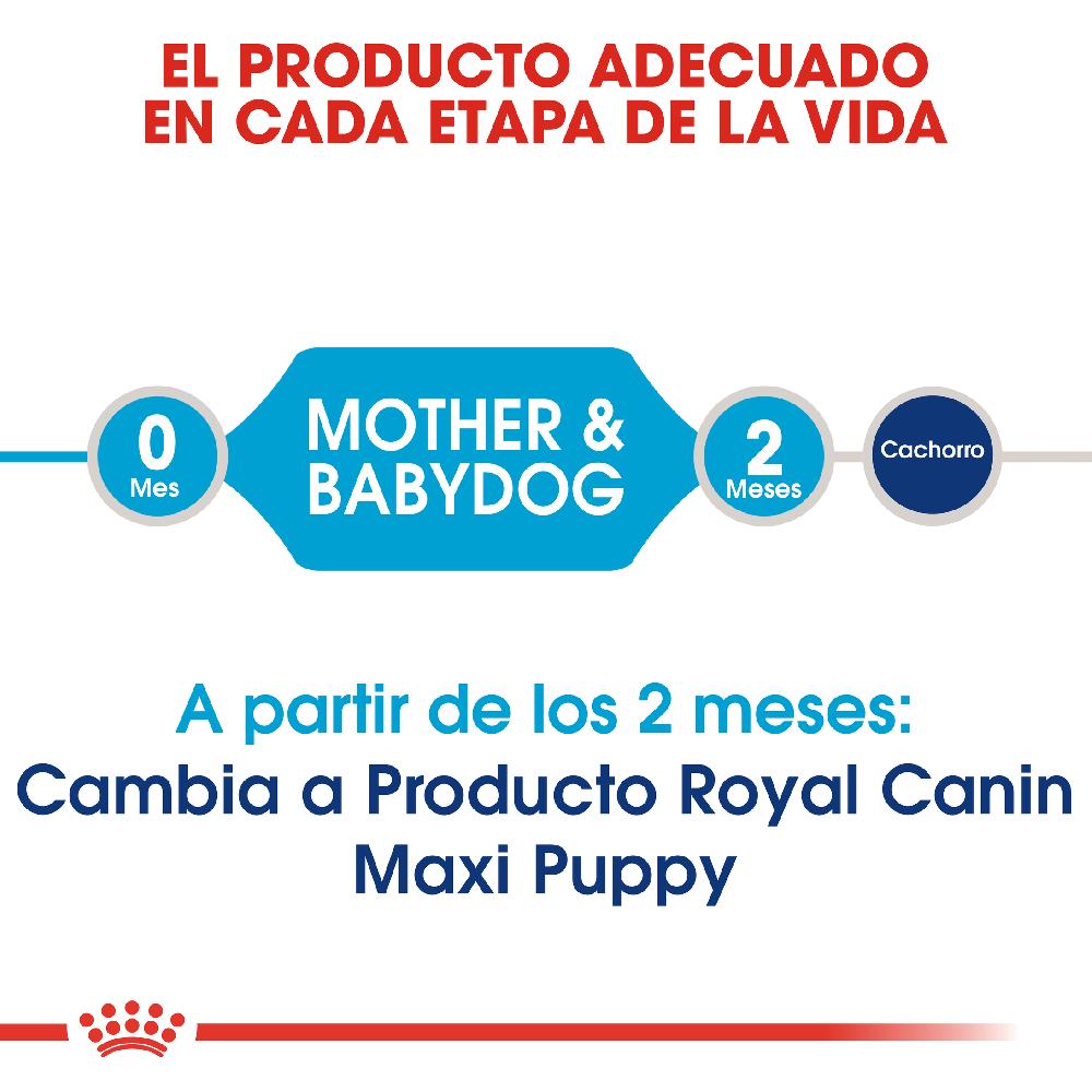Miscota Royal Canin Cibo Secco per Cani Starter Maxi Mother & Babe Dog Discount Store per i nuovi prodotti