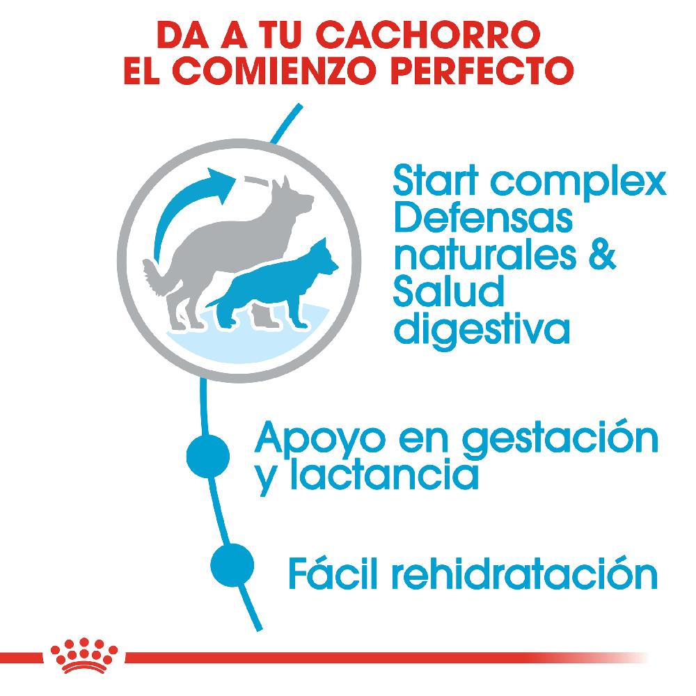 Miscota Royal Canin Cibo Secco per Cani Starter Maxi Mother & Babe Dog Discount Store per i nuovi prodotti