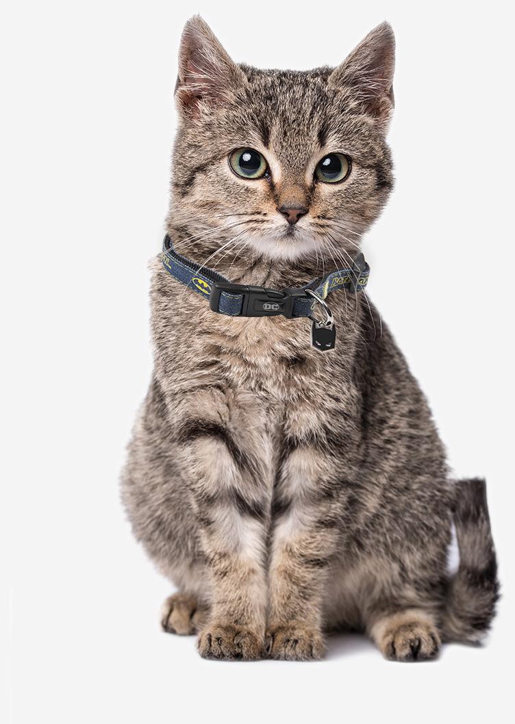 Miscota For Fan Pets Collare Batman I Più Venduti