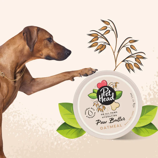 Miscota Pet Head Balsamo al cocco per zampe di cane Offerta esclusiva