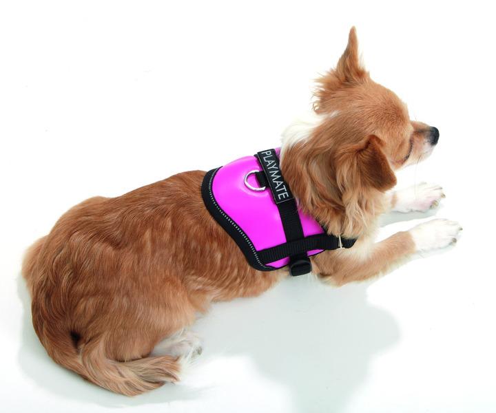 Miscota Flamingo Imbracatura Teeny Weeny Rosa Latest fashion
