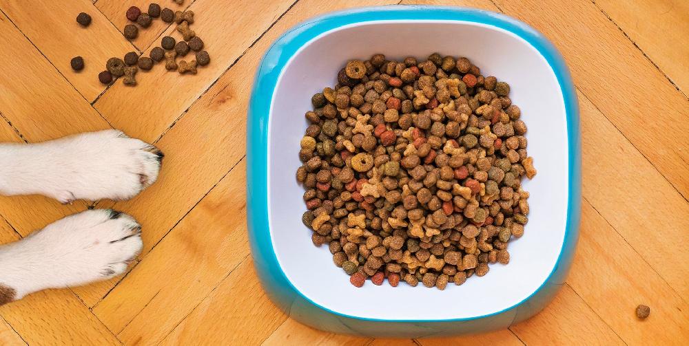 Miscota Primordial Cibo Secco per Cane Adult Bufalo e Caballa Offerte esclusive