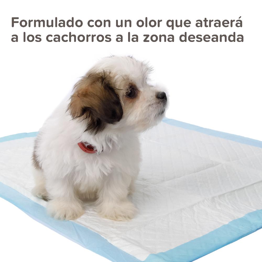 Miscota Beaphar Puppy Trainer Addestratore per Cuccioli 20 ml Limitato a 3 giorni