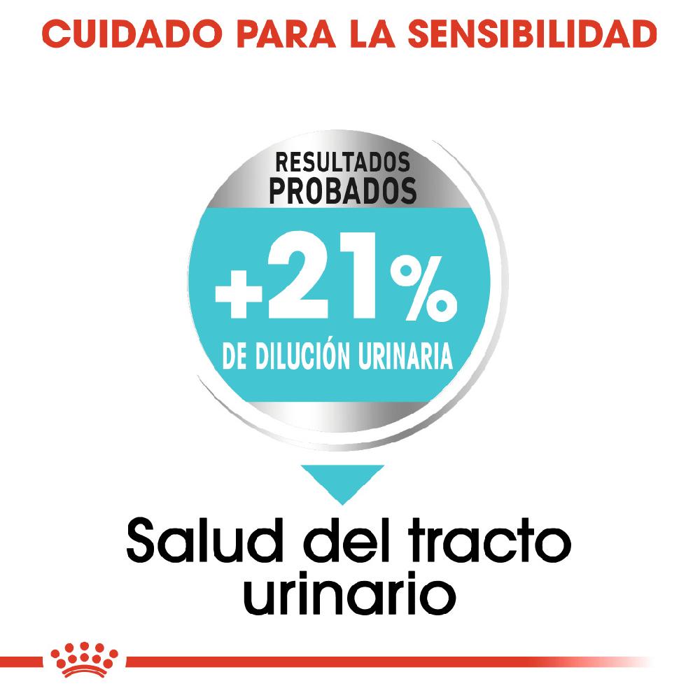 Miscota Royal Canin Mini Urinary Promozione