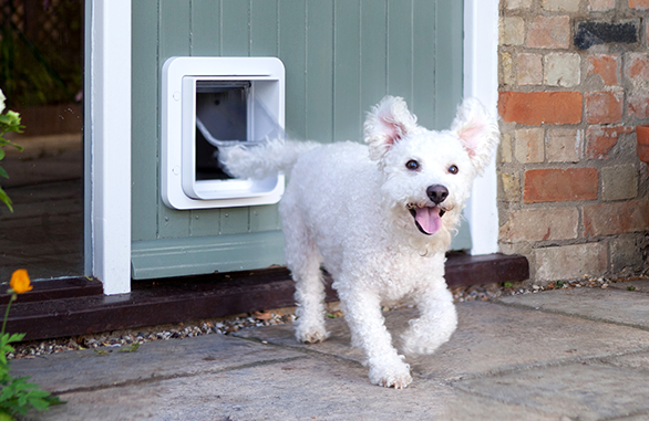 Miscota Sure Petcare SureFlap Porta con Microchip Connect Spedizione gratuita