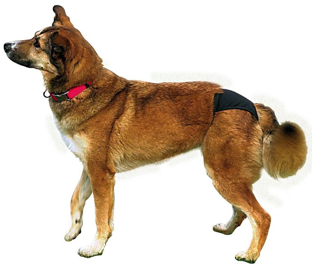 Miscota Trixie Mutandine per Cani Nere Shopping online