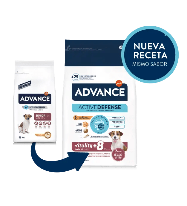 Miscota Advance Mini cibo per cani anziani con pollo e riso Offerta esclusiva