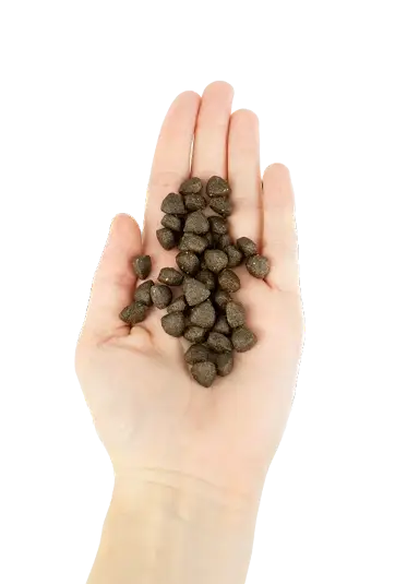 Miscota Lenda Cibo per cuccioli per cuccioli Super Saving Price