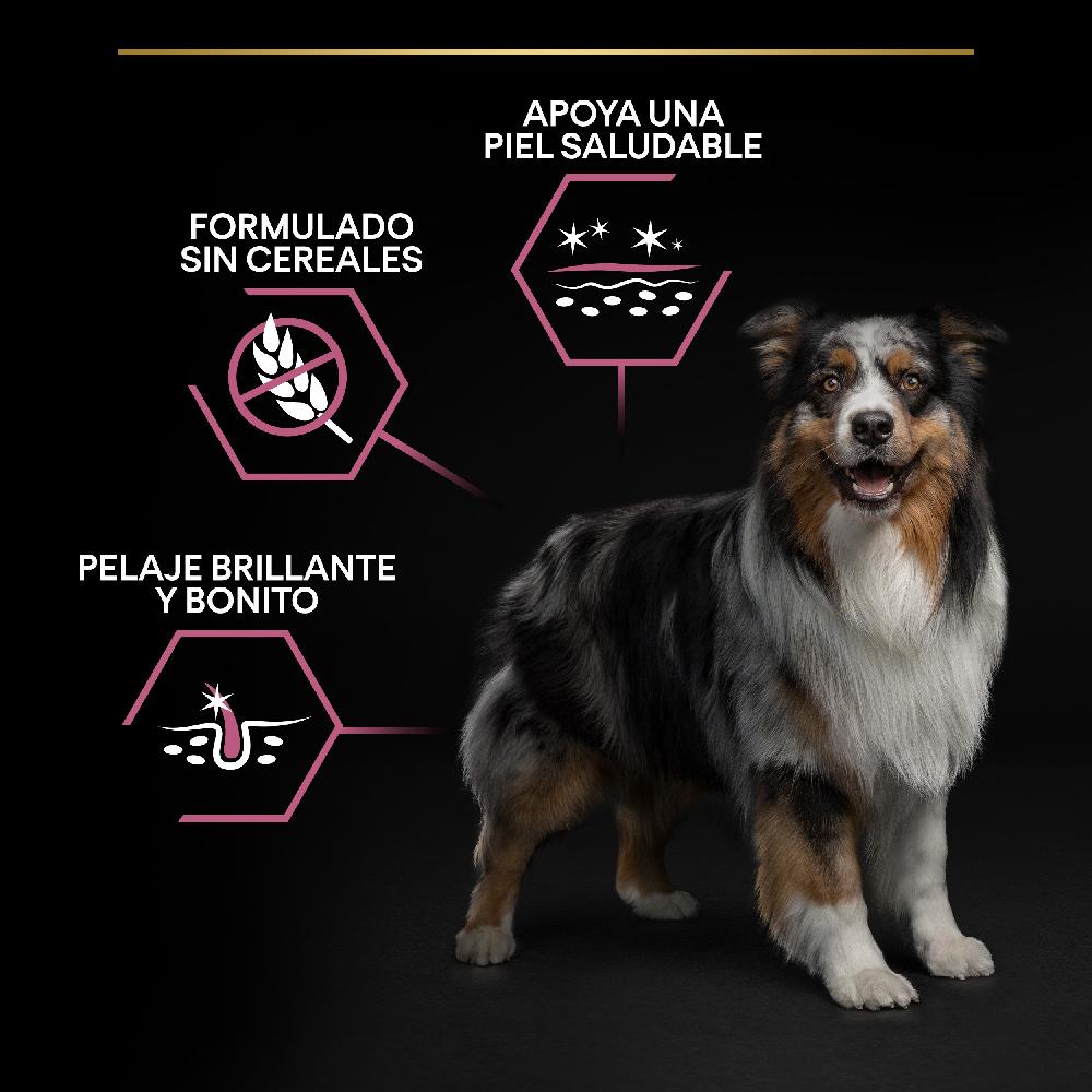 Miscota Purina Pro Plan Optiderma per Adulti Salmone Medium 2025