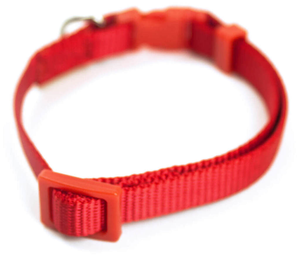 Miscota Miscota Collare di Nylon Rosso per Cani Vendita