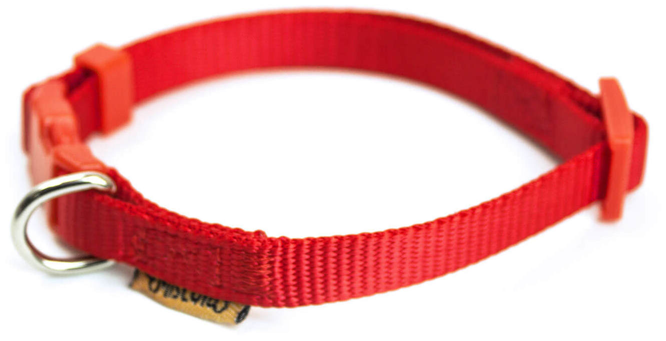 Miscota Miscota Collare di Nylon Rosso per Cani Vendita