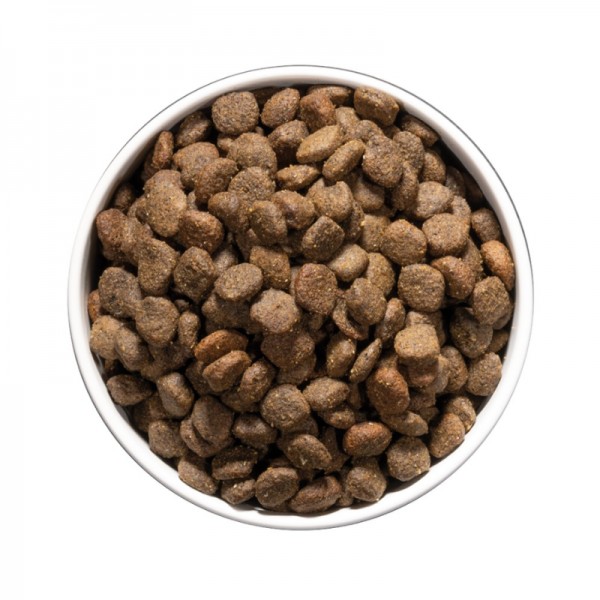 Ownat Care Dog Digestive per Cani Negozi Online