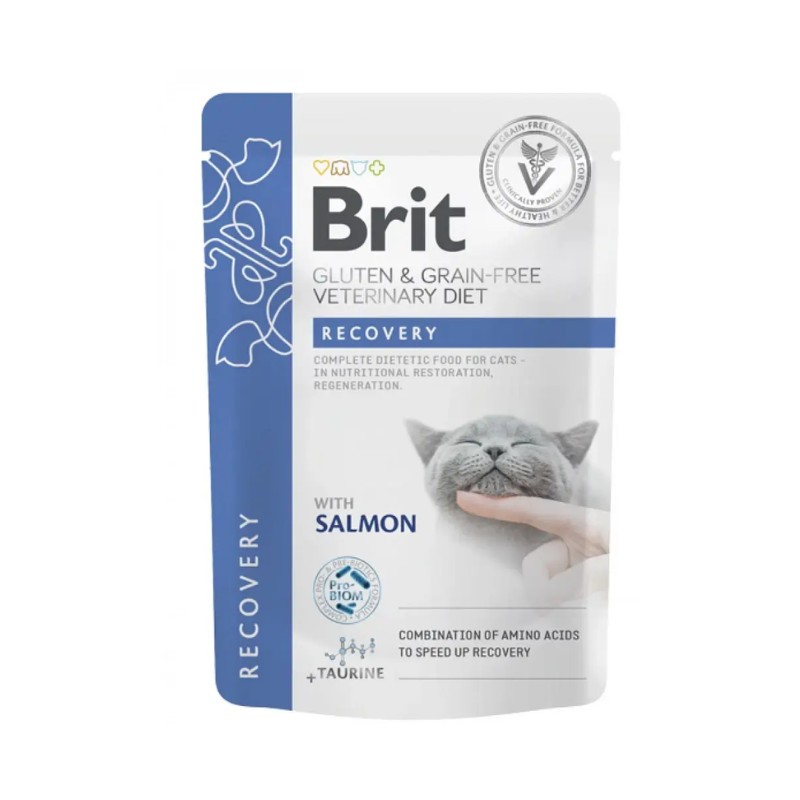 Brit Veterinary Diet Recovery Umido per Gatti Affare Del Giorno
