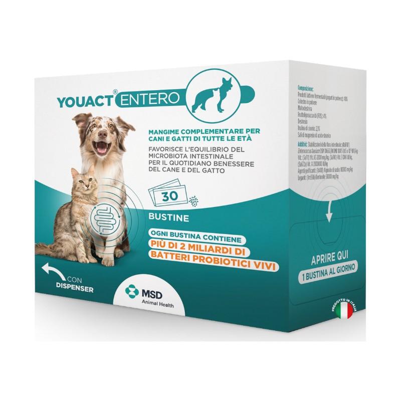 MSD Youact Entero Buste per Cani e Gatti Economico