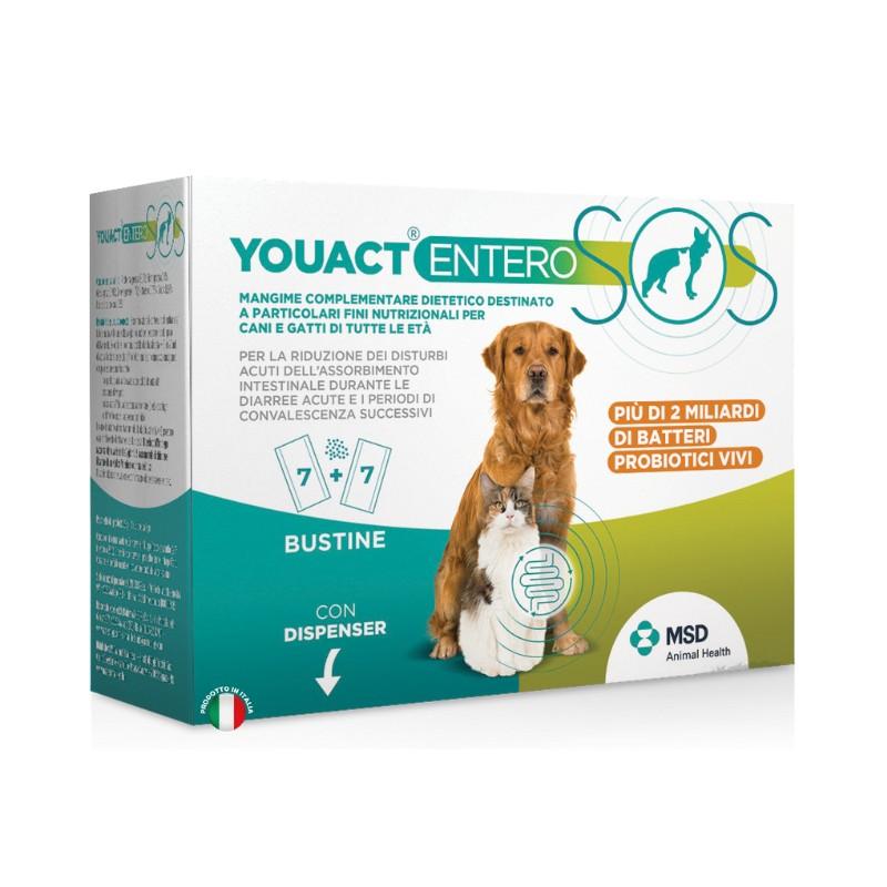 MSD Youact Entero SOS Buste per Cani e Gatti Online