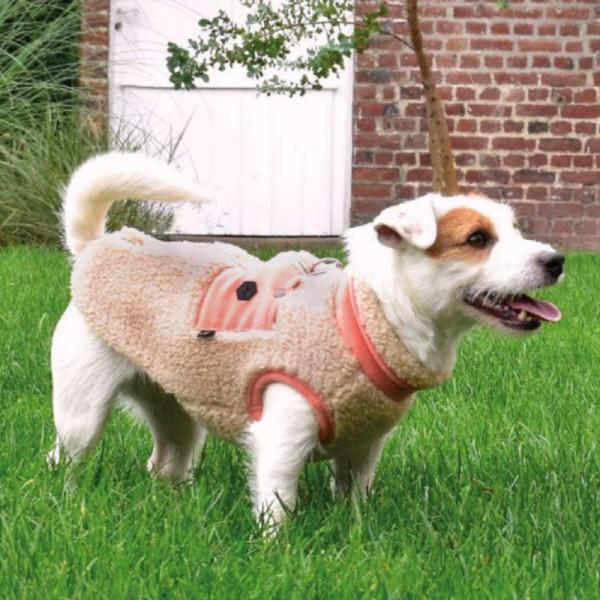 Croci Pile Alpaga Azzurro per Cani Nuovi prodotti