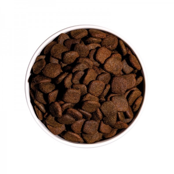 Ownat Dog Hypoallergenic Grain Free Adult Salmone per Cani Italy