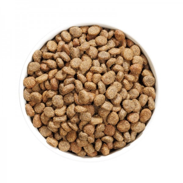 Ownat Dog Hypoallergenic Grain Free Adult Mini Agnello per Cani Italia